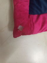 Nitin Sathe review photo