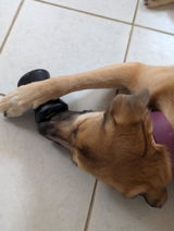 Lilahroo review photo