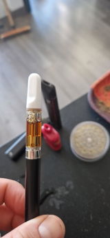 Max review photo