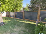 Bob K. review photo