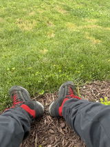 Anonymous review photo