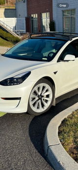 Will A review photo