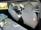 Amazon Customer review photo