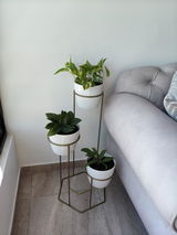Elena Acevedo review photo