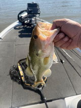 Johnny Blackwell Customer review photo