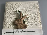 Gabriele Greineder review photo