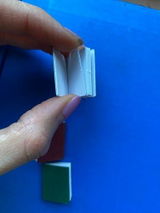 R***a review photo
