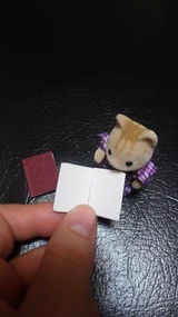 S***a review photo