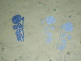 G***r review photo