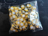 R***a review photo