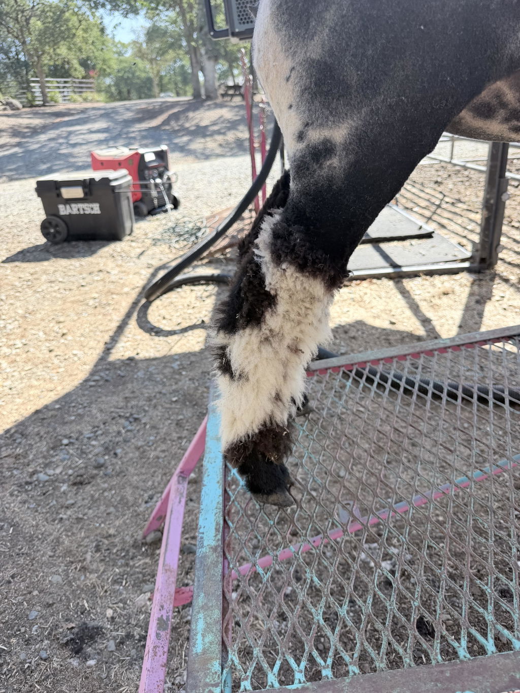 Battson Ranch
