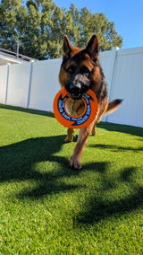@shadowthejazzyshepherd review photo