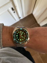Nebojsa Nikic review photo