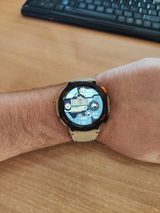 Gligorije Blažarić review photo
