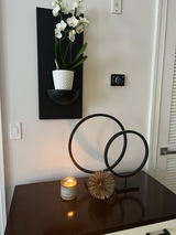 DAVID ZARECKI review photo