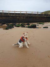 Miss R Minto review photo