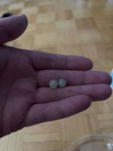 Bradley review photo
