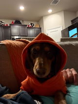 Anonymous review photo