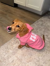 Faith Jumper review photo