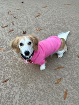 Maggie W review photo