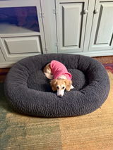 Maggie W review photo