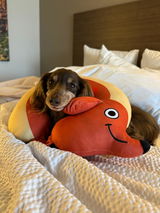 @a_tale_of_two_wieners review photo