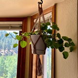 Macrame Plant Hanger macrame for plant hangers and indoor decor I48