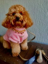 Miss Chloe review photo