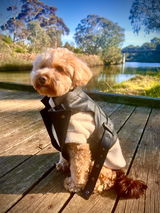 Toffee review photo