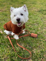 Charlie the Westie review photo