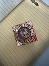 FoolyDooly review photo
