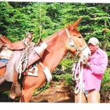 Jim Nabors review photo