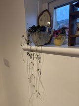 Sas V. review photo