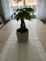 Yvonne review photo