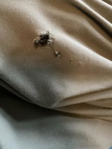 Alexander review photo