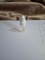 y. review photo