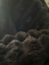 S. Richters review photo