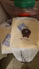 Timothée Louis review photo