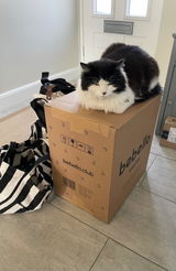 Sammy review photo