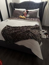 Araceli v. review photo