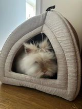 Kimmi review photo