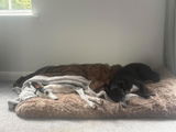 Amazon Customer review photo