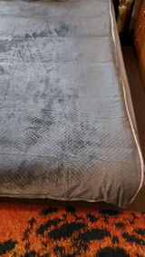 Marion Tober review photo