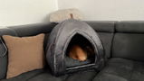 Amazon Kunde review photo