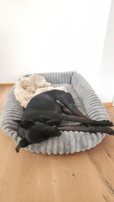 Cliente de Amazon review photo