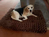 SnookyPie review photo