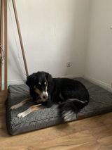 Saskia Carolin Domke review photo