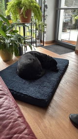 Amazon Kunde review photo