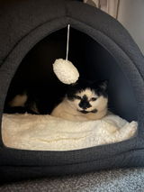 Amazon Customer review photo