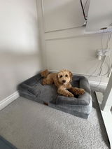 Amazon Customer review photo